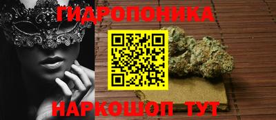 тгк Ижевск